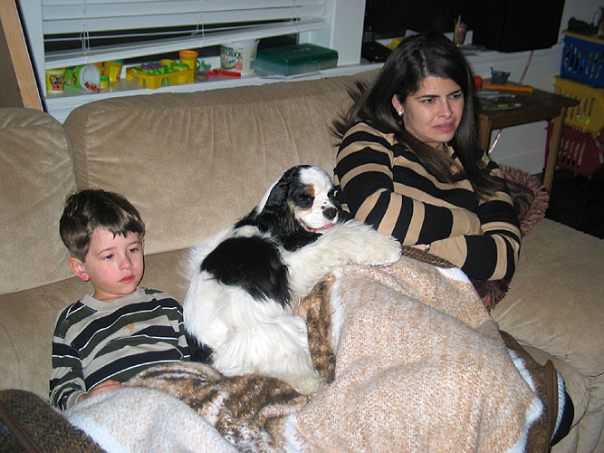 Conquest Cocker Spaniels, Oregon, USA