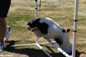 JasonHurdlejump