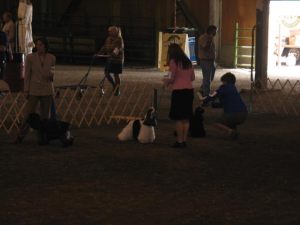 KlamathFallsDogShowFStack