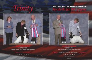 trinity-header01