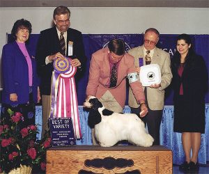 trinityBOV_N_BOS_BOB2005